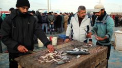 Rybáři z Pásma Gazy zpracovávají na břehu ulovené ryby (ilustrační foto)