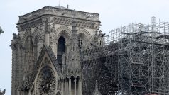 Příčina požáru dosud není známá a vyšetřování pokračuje. Pařížská prokuratura již v pondělí oznámila, že oheň podle předběžných zjištění vznikl neúmyslným zaviněním, podle nezávislých odborníků nejspíše v souvislosti s projektem renovace špičky kostelní věže
