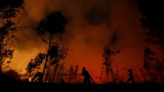 Hasiči bojují s lesním požárem Národního parku Sebangau v Indonésii
