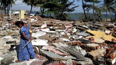 Srí Lanka byla jednou ze zemí, které tsunami zasáhlo nejvíce. Snímek je z ledna 2005