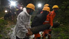 Lidé odstraňují popadané stromy v oblasti Digha v Indii
