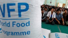 Světový potravinový program získal Nobelovu cenu míru za své úsilí v boji proti hladu a za zlepšení podmínek pro mír v konfliktních oblastech