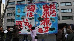 Japonci protestující proti vypouštění jaderně kontaminované vody do moře