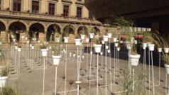 Botanický labyrint z léčivých rostlin před Národní divadlem