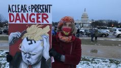 Nicky svým obrazem nechce říct, že by Trump byl nacista. Považuje ho za autokrata, který odkryl své skutečné politické přesvědčení a který nemá zájem na demokracii