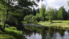 Teplá Vltava protéká první zónou Národního parku Šumava.