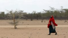 Somálsko čelí nejdelšímu suchu za posledních 40 let
