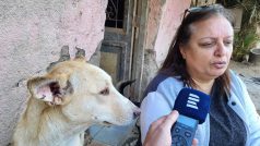 Mona Chalilová bývala televizní hlasatelkou, úmrtí vlastní milované kočky ji ale přivedlo na cestu ochránkyně zvířat