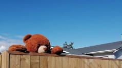 Na Novém Zélandě se v oknech, ale i na dalších místech začínají objevovat plyšoví medvědi.