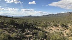 V poušti v jižní Arizoně se nachází spoustu kontrolních stanovišť na cestách, které vedou od hranic. Lidé, kterým se podaří nelegálně překročit hranici, se těmto checkpointům i jiným setkáním s pohraniční stráží chtějí pochopitelně vyhnout. A tak riskují v poušti.