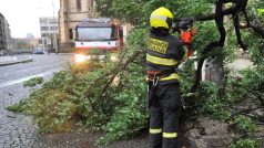 Fotografie ze Strossmayerova náměstí, kde v neděli strom spadl na elektrického vedení.