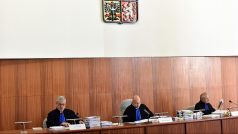 Nejvyšší soud v Brně projednává kauzu Davida Ratha, JUDr. Vladimír Veselý (střed)