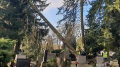 Vyvrácený strom uzavřel ústřední hřbitov v Jihlavě.