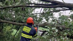 Hasiči vyjížděli k více než tisícovce událostem. Nejčastěji se jednalo o odstranění popadaných stromů a větví