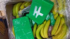 Lisované kostky kokainu, které v krabicích od banánů, nalezli pracovníci supermarketu v Jičíně a Rychnově nad Kněžnou.