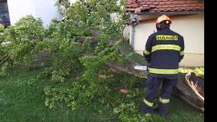 V souvislosti s vydatným deštěm a bouřkami hasiči zasahovali i u spadených stromů
