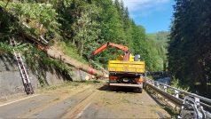 Poryv větru strom zlomil ve výšce asi tří až čtyř metrů nad zemí