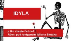 Rčení pod rentgenem Milana Slezáka: Idyla.