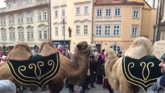 Tříkrálový průvod v Praze zamířil na Staroměstské náměstí i s velbloudy