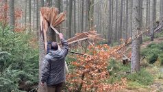 Netradiční experiment se v odehrává v Českém Švýcarsku. Policejní pyrotechnici spojili příjemné s užitečným, když přijali pozvání správy národního parku. Potrénují svoje dovednosti a zároveň odstřelí několik kůrovcových souší v těžko přístupných místech