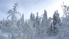 Sníh, zima, mráz (ilustrační foto).
