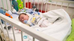 Kardiochirurgové z pražského Motola voperovali  dvouměsíčnímu chlapci, trpícímu závažnými poruchami srdečního rytmu speciální defibrilátor.