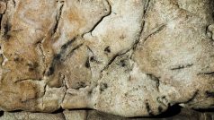 Vědci posunuli dataci nejstarší kresby v České republice na 7000 let. Je v Hlavním dómu Kateřinské jeskyně v Moravském krasu. Jde o černé čáry na mohutném kameni, kterému se přezdívá kvůli jeho vrásčitému povrchu Mozek