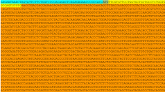 DNA i RNA kódují vždy čtyři základní nukleotidové báze. Tři jsou pro obě nukleové kyseliny totožné: adenin (A), guanin (G) a cytosin (C)...