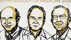 Držitelé Nobelovy cena za fyziologii a lékařství za rok 2020