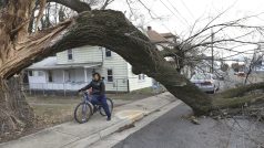 Chlapec projíždí na kole pod stromem, který bouře zničila ve městě Winchester ve Virginii