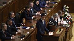 Předseda Sněmovny reprezentantů USA Paul Ryan (vpředu vpravo) vystoupil 27. března 2018 na zvláštní schůzi Poslanecké sněmovny v Praze