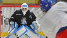 Hokejový brankář Jakub Škarek bude v nadcházející sezoně chytat v zámoří
