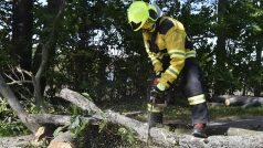 Hasiči odstraňují větve, které kvůli silnému větru spadly na silnici ve Valticích na Břeclavsku.