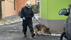 Policejní vyšetřovatel se psem