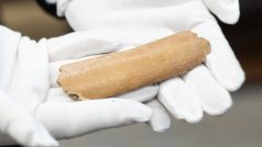 Archeologové starogermánské runy našli na zvířecím žebru vykopaném v lokalitě Lány u Břeclavi spolu s keramikou pražského typu, která je spojována právě se Slovany.