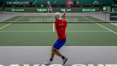 Tomáš Macháč v zápase Davis Cupu