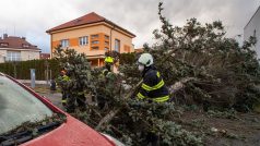 Stromy v Hradci Králové padaly na domy i auta