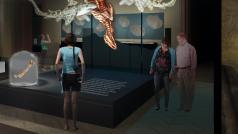 Expoziční celek Zázraky evoluce se bude nacházet v Historické budově Národního muzea ve druhém patře v pravém křídle.