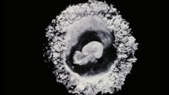 lidské embryo