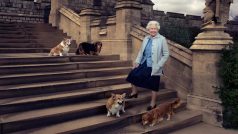 Královna se psy na oslavě svých 90. narozenin