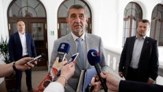 Premiér v demisi a předseda hnutí ANO Andrej Babiš