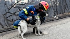 Hasič dává vodu psovi, které vytáhnul z hořícího domu v řeckém Máti, 24. červenec 2018