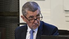 Andrej Babiš u soudu v kauze Čapí hnízdo