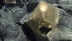 Vědci na dně oceánu u tichomořského pobřeží Aljašky objevili záhadnou zlatou kouli, která podle nich může být vejcem nakladeným neznámým mořským tvorem nebo mořskou houbou