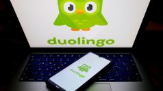Duolingo (ilustrační foto)