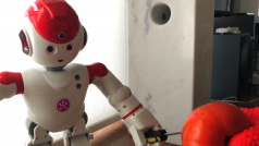 Alpha 2 je humanoidní robot podobný člověku, až na to, že dospělým sahá asi po kolena
