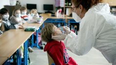 Antigenní testování žáků základní školy