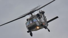 Na akci se letos prezentují armádní, bezpečnostní a záchranářské jednotky z 19 zemí. Vrtulník UH-60M Black Hawk