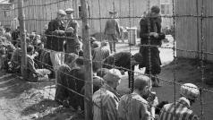 Koncentrační tábor Bergen-Belsen po osvobození britskou armádou.