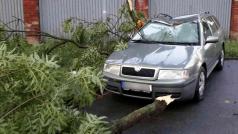 Hasiči Olomouckého kraje odstraňují stromy, které popadaly kvůli silným bouřkám